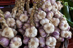 Close-up of garlic bulb in market